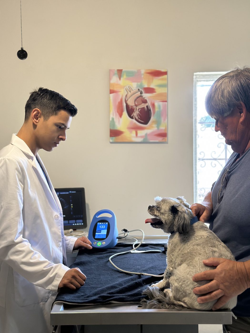 Consulta cardiológica con monitoreo