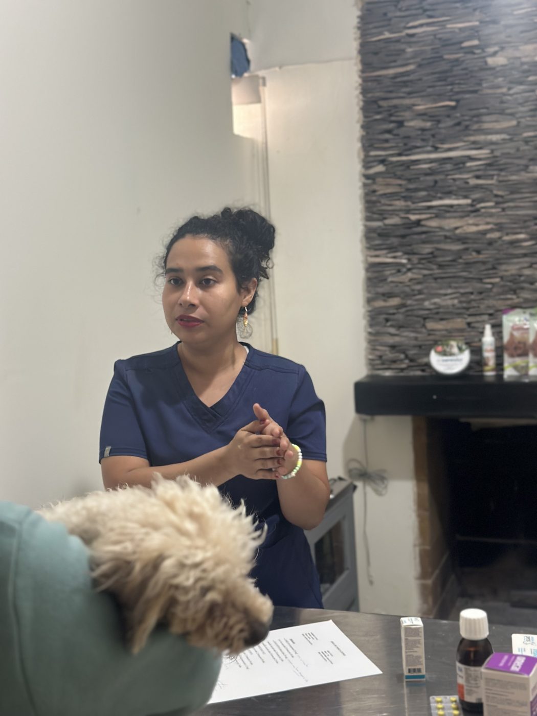 Consulta veterinaria
