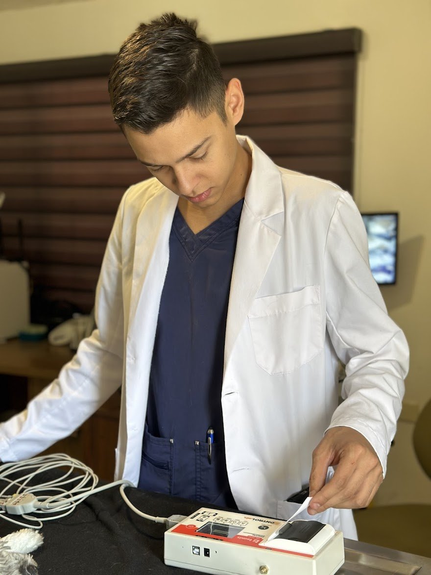 Veterinario realizando estudio